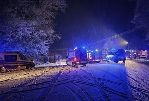 karetki straż pożarna nad stawem w padającym śniegu